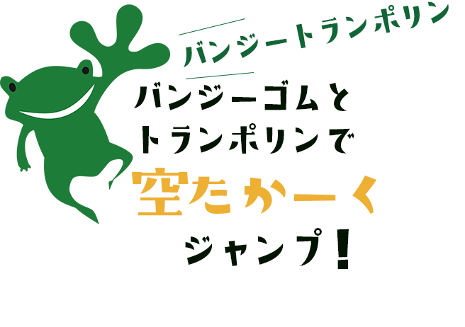 ヘルスアンドグラビティ株式会社のバンジートランポリン